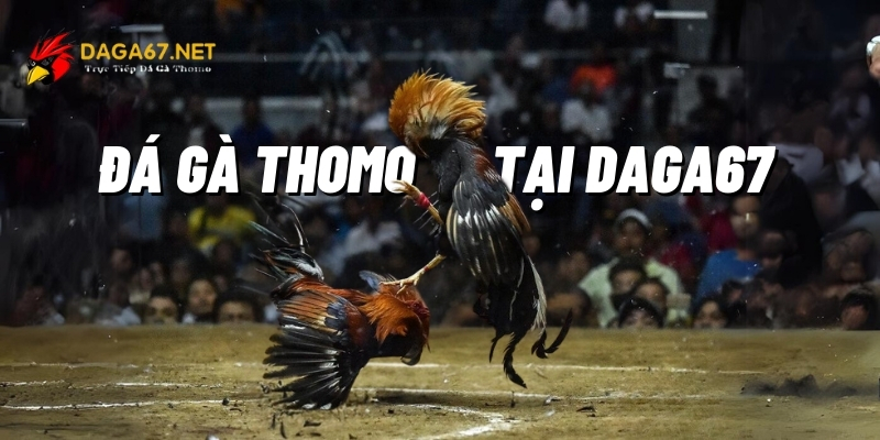 da ga thomo